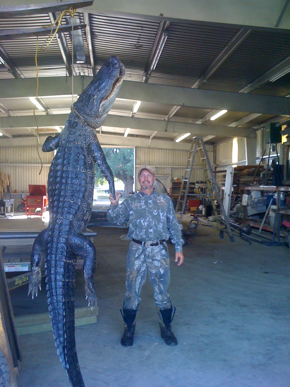 Southwest Louisiana Rice Field No limit goose hunting and regular